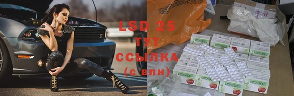 шишки Армянск
