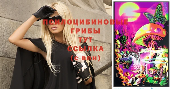 гидропоника Арсеньев