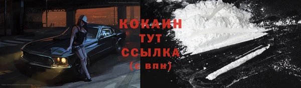 шишки Армянск