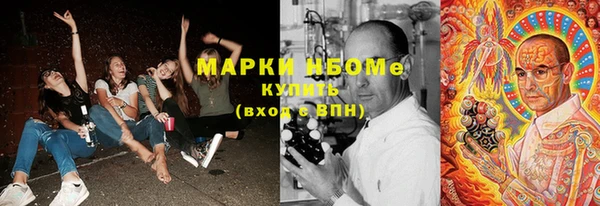 шишки Армянск