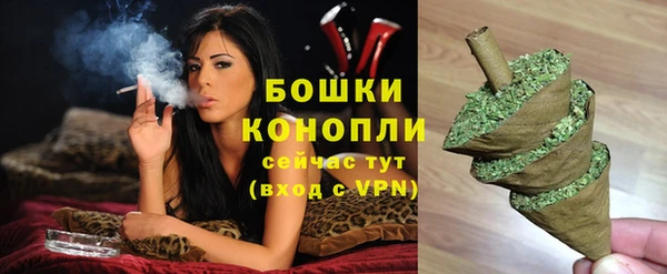 шишки Армянск